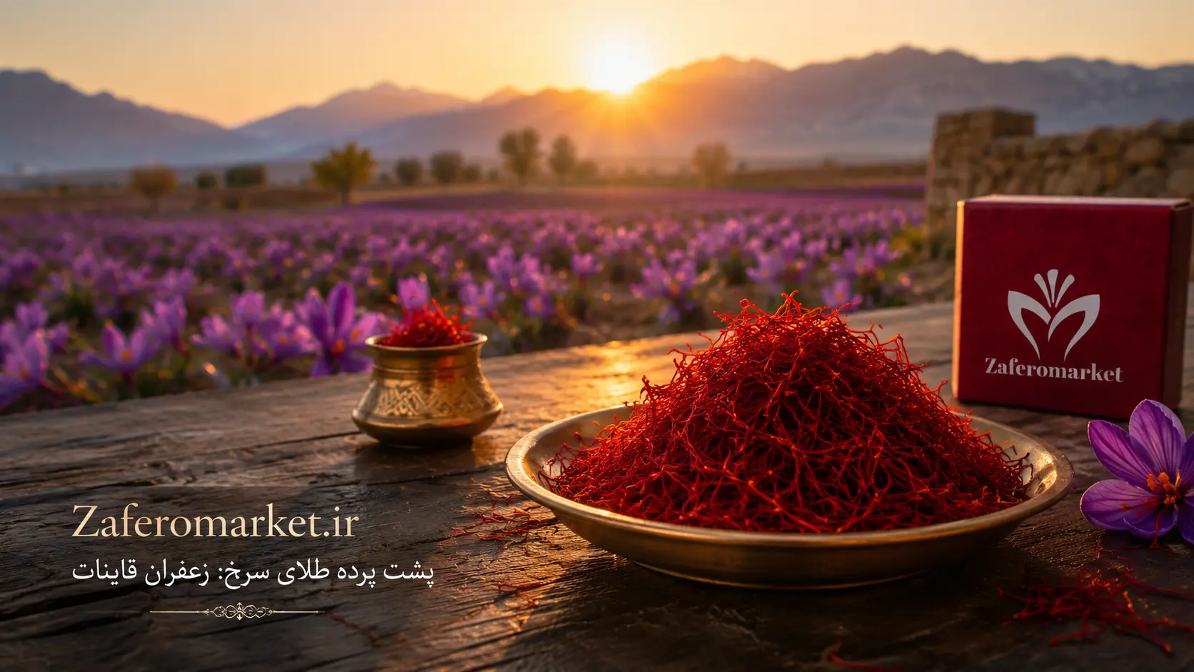 پشت پرده طلای سرخ: چرا زعفران قاینات باکیفیت‌ترین زعفران جهان است؟